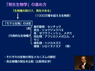 卵から親への形作りとメカニズム
