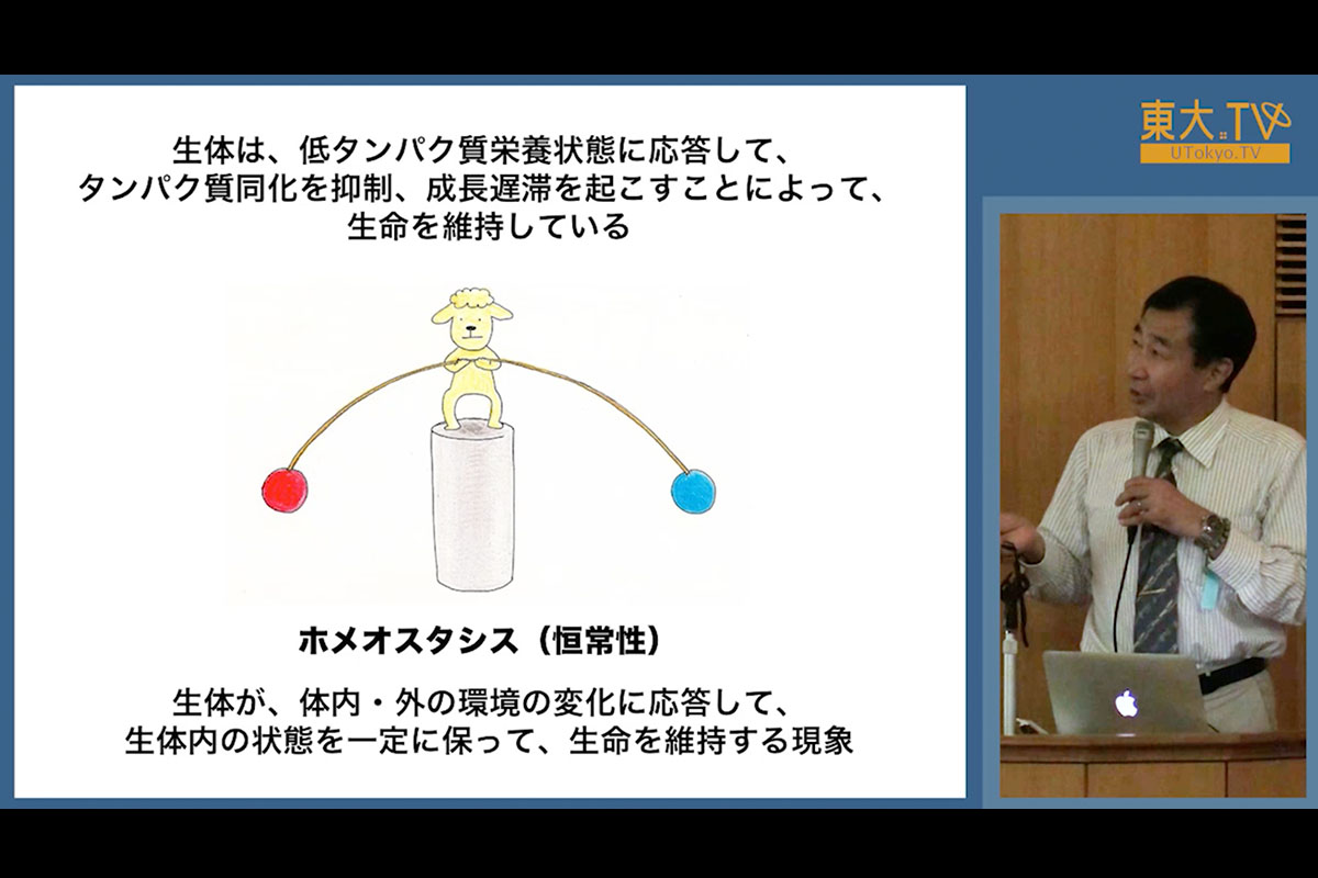 アミノ酸シグナルを利用して高品質食資源を開発する