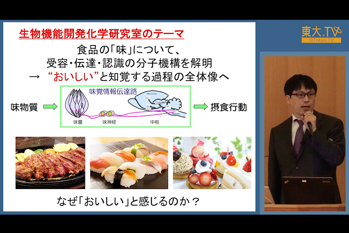 おいしさとは何か？