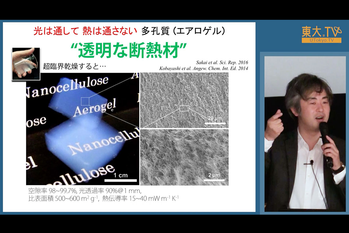 木材のナノテクノロジー：鋼鉄よりも軽くて強い新素材