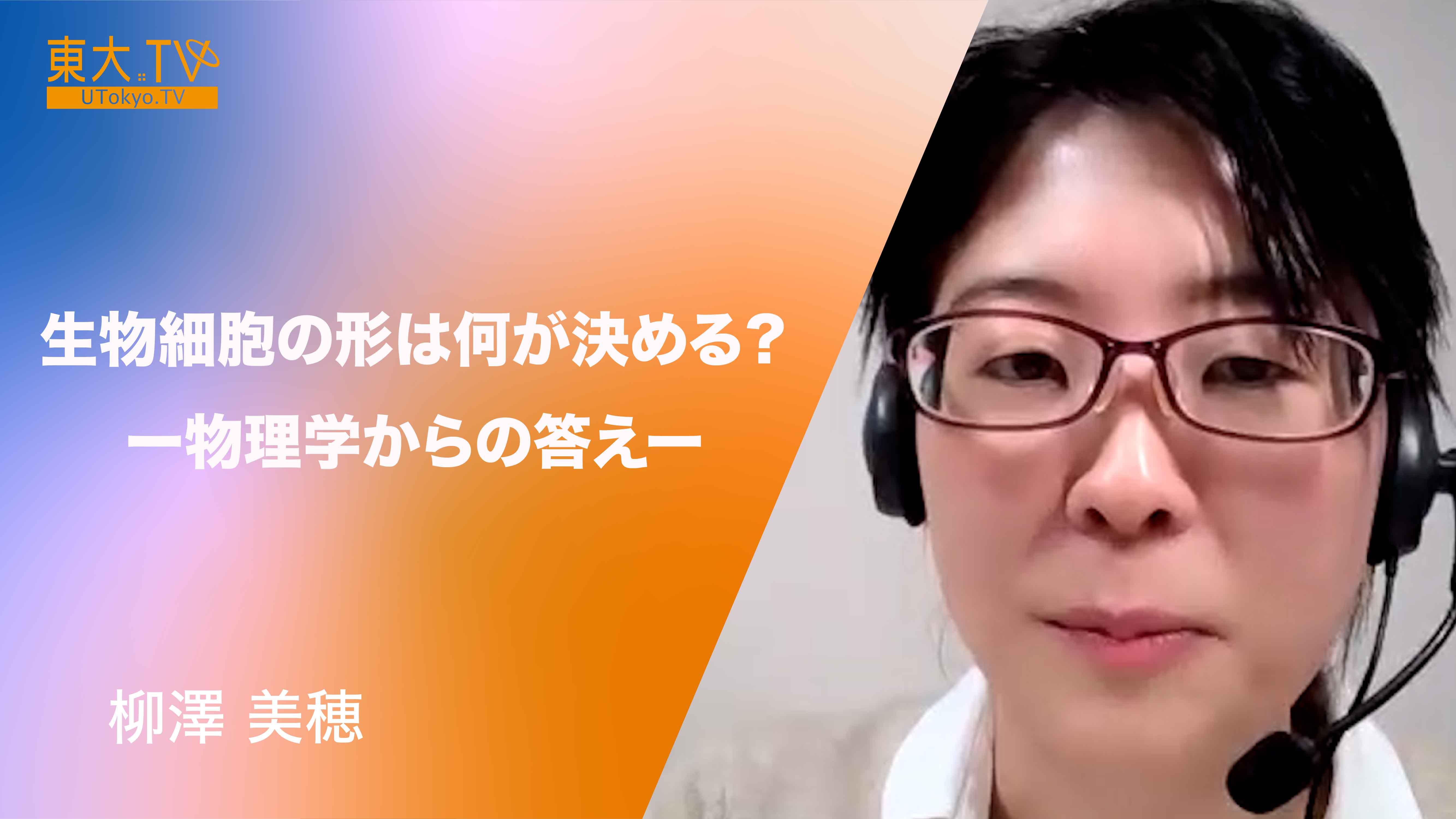 生物細胞の形は何が決める？物理学からの答え
