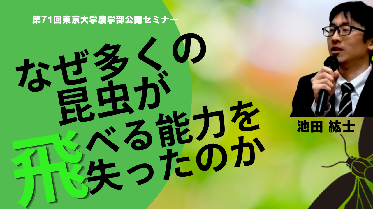 なぜ多くの昆虫が飛べる能力を失ったのか